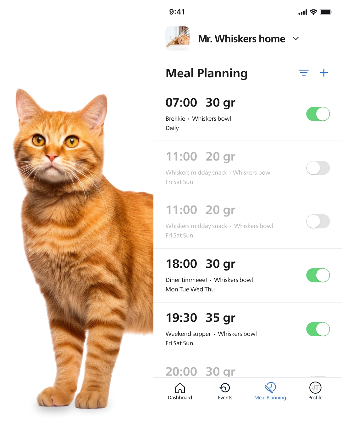 Cat feeding app features