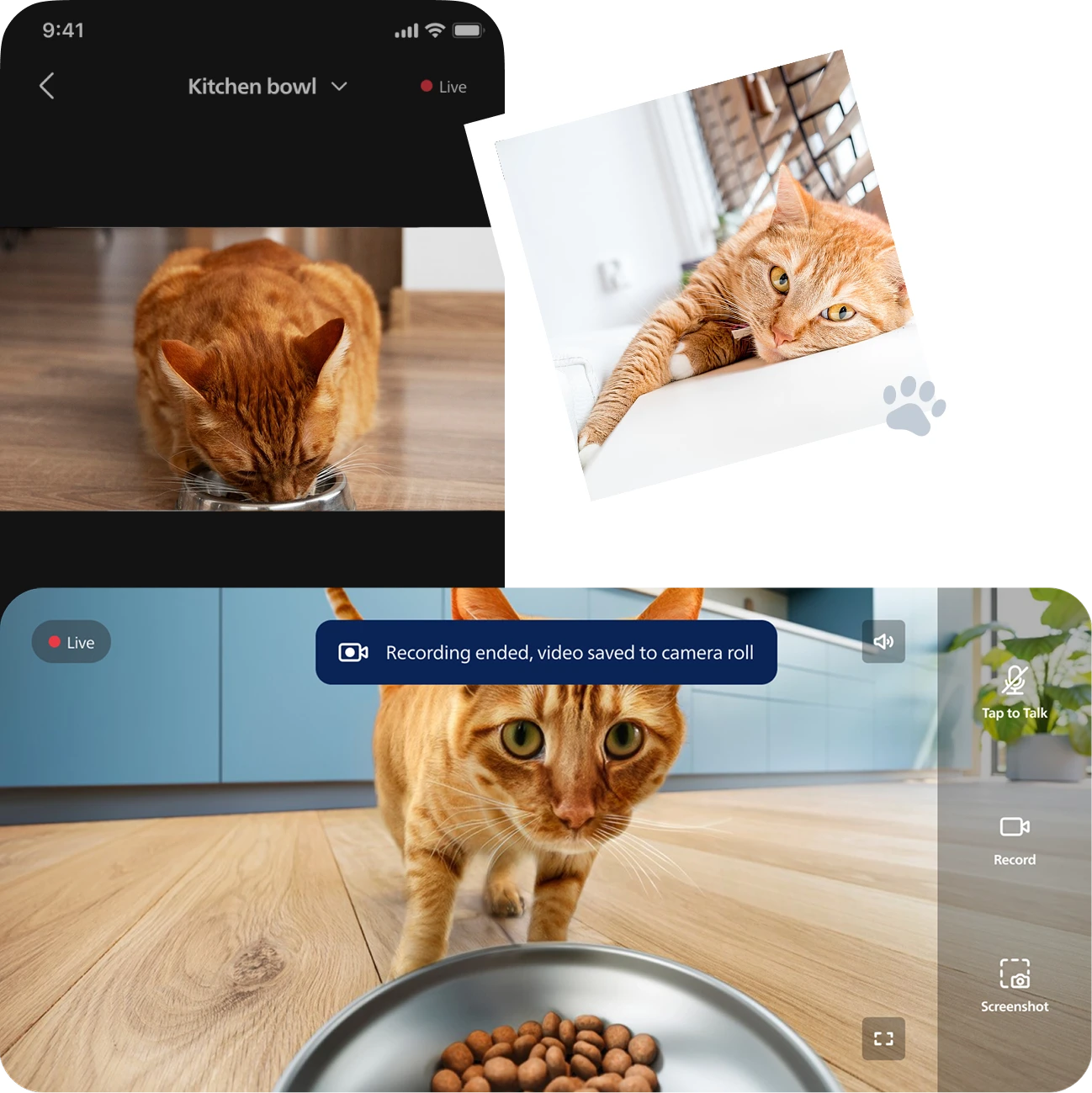 Live camera and two-way audio feature