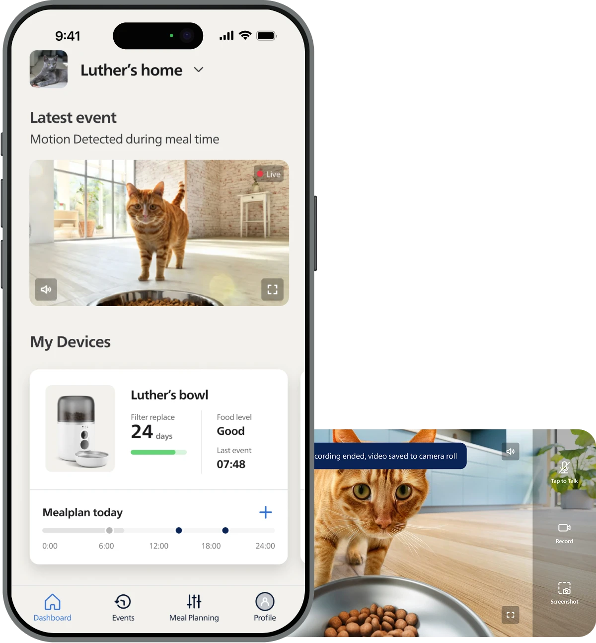 PAW app mockup visual