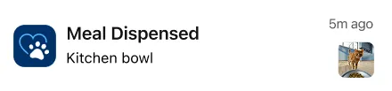 Cat feeding app features